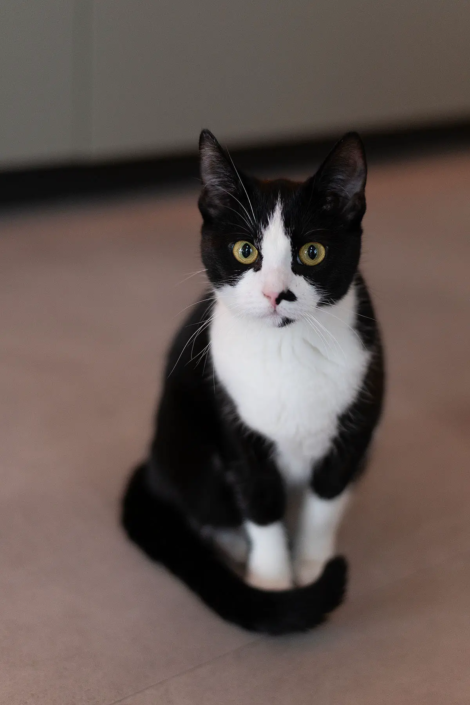 Keuken Nieuw-Vennep | Keukenstudio van den Bijtel